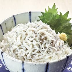 ハロートーク 美味しそうなしらす丼